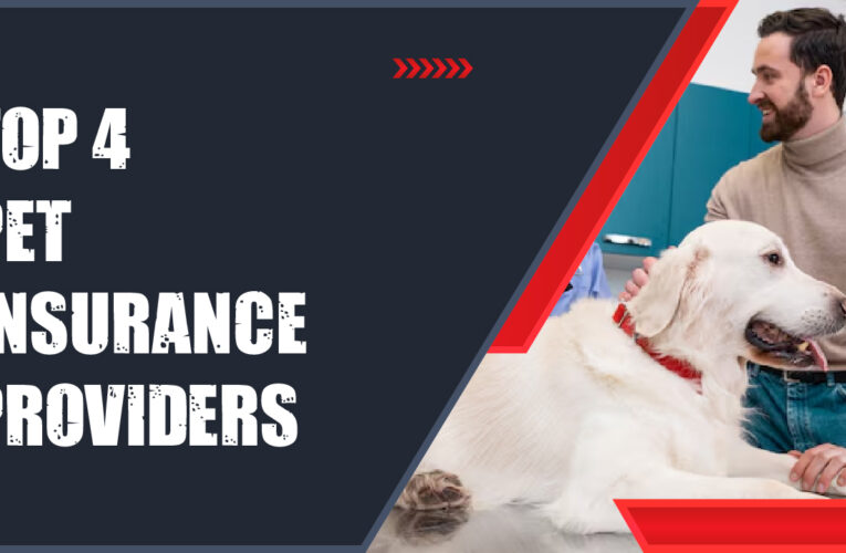 Top 4 Pet Insurance Providers in the UK